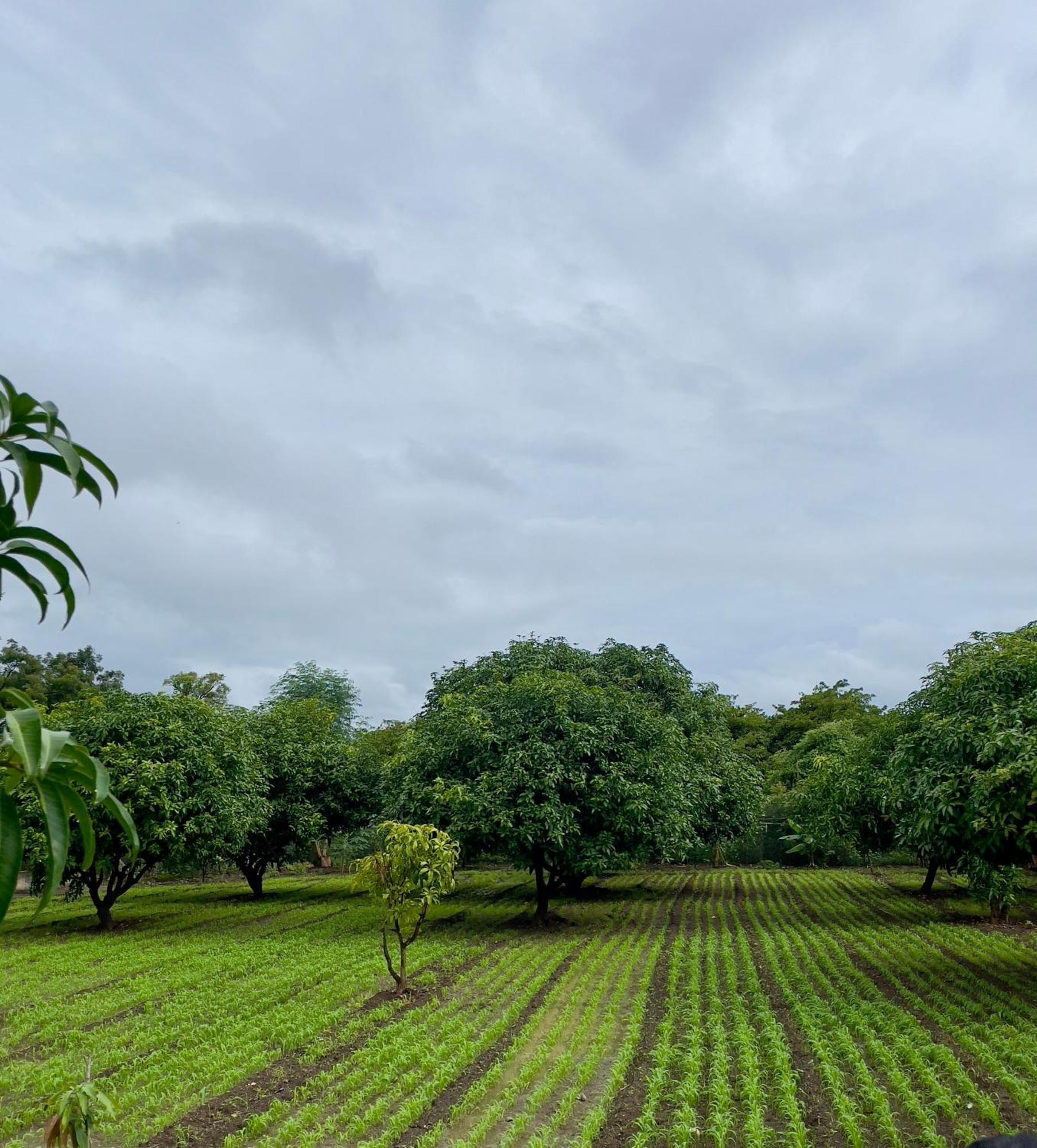 Fulgulab Lawns And Home Stay Junnar Buitenkant foto
